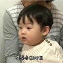 애기 이미지