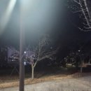 빛가람 | 나주 빛가람 공원 나주 빛 축제 후기 나주 가볼 만한 곳