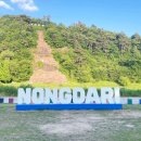 무료로 즐기기 좋은 진천 농다리 산책 후기(ft. 천안 근교 가볼만한곳 추천)