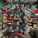 만디 | 부산 카페 만디에 크리스마스 후기｜애견동반 가능한 부산 감성카페