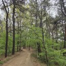 서봉산 산림욕장 1 | 화성 서봉산 산림욕장 등산 가이드: 로컬푸드 출발 힐링 코스 완벽 정리
