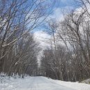 자오헤어 이미지