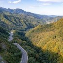 트립레시피 이미지