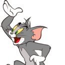 톰과제리 이미지