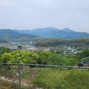 맹종죽순체험길 이미지