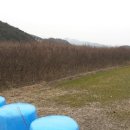 여주-0311 이미지