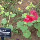 울산테마식물·수목원 이미지