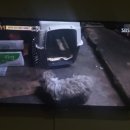 희대농장 이미지