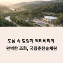 숲캉스의 성지, 국립춘천숲체원: 산림교육과 레포츠를 한 번에!