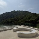 모이핀