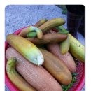 식사하세요 이미지