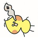 행복누리고펜션 이미지