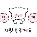 햇빛카클리닉 이미지