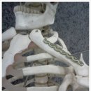 조상일정형외과의원 이미지