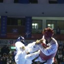 참다운 태권도 이미지