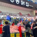 서울 가볼만한곳 경동시장 청량리 놀거리 주차장 후기