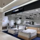 금성전자 - 용산구 신흥로 93 | 나의 매매 이야기 (6)│전자약정, 지인 결혼식, 금성침대 후기