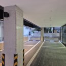 강남 신사동 압구정역 압구정로데오역 인근 단독건물 학원임대 국제학교 임대 병원임대 사무실 임대 관련 사진전송용 관리번호 01219 이미지