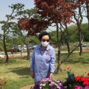 강화 리죠트 루지와 연못 꽃 강화교동 대룡시장 옛모습 영상 2021.5.6 이미지