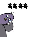 마브로 이미지