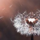 관교중학교 이미지