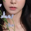 쥬아뜨 보떼