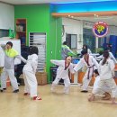 리틀태권도장 이미지