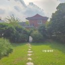 비 라인 스튜디오(B. LINE STUDIO) | 스튜디오 노넷 계약 후기 / 서울 토탈스튜디오 / 인물중심 스튜디오 / 야외정원, 빈티지 호텔 룸