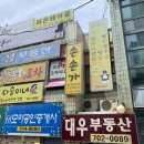 손손가 이미지