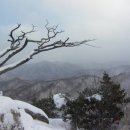 제 7회 2월 정기산행 영월 구봉대산 (현재 34명) 이미지