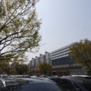 주정차단속-141 이미지