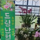 드림난원