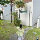 블랑블랑 이미지