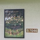 용산-242 | D+242 아기와 용산 어린이정원