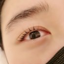 활짝핀 속눈썹 이미지