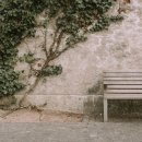 나무벤치 이미지