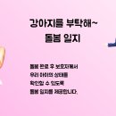 강아지를부탁해(돌봄) 이미지