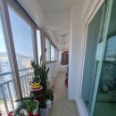 영진로얄아파트 이미지