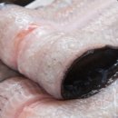 풍천장어나라 이미지