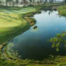 숲에그린골프클럽 이미지