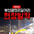 사회잇슈 부산광안리길거리 현장발칵 이미지