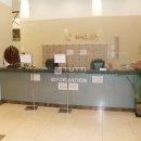 스파피닉스 이미지