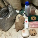 3393 | 아디다스 퍼피 새틴 미니 숄더백 3만원대 갓성비 가방 / 피부처럼 들고다닌 내돈내산 후기!