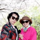 고향에봄 - 창원시 성산구 | 고향에봄