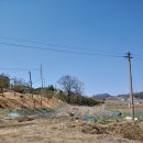 충주주덕공인중개사사무소 이미지