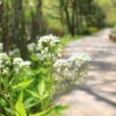 은하마을 주공2단지아파트 이미지