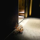 오월호텔(OWALL HOTEL) | 서울 호캉스 오월호텔 :: 한국의 멋을 담은 역삼 호텔