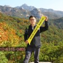 밝은행정사 사무소 이미지