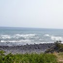 색달동 다람쥐굴 이미지