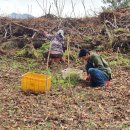 전호농장 이미지